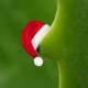 Бредзона 24.12