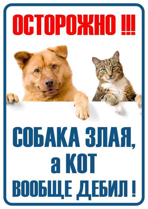 Межсезонье 2021-2022