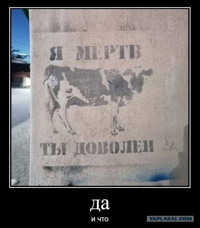 Картинки аморальные и всякие разные - 41