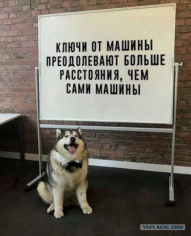 Так себе картинки 17.10.22