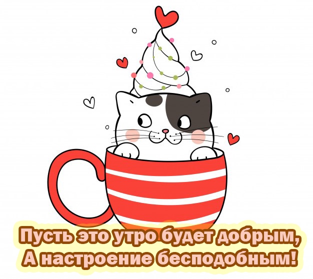 Прикольные и просто красивые картинки 18.11.2022