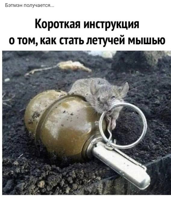Весёлый полтишок 24.11.22