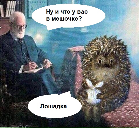 Подборка картинок 17.05.2023