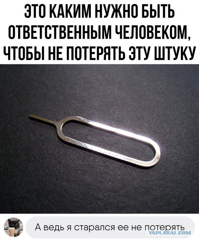 Так себе картинки 27.09.2023