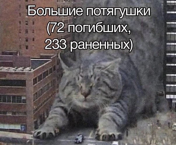 Всего понемногу. От 24.02.24