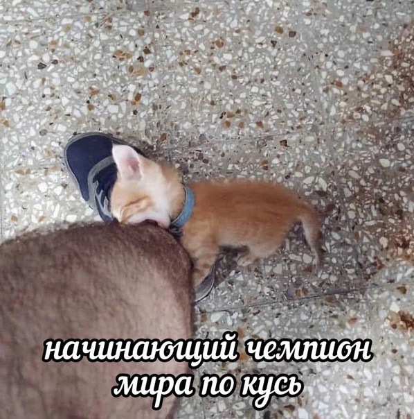 Всего понемногу. От 07.04.2024