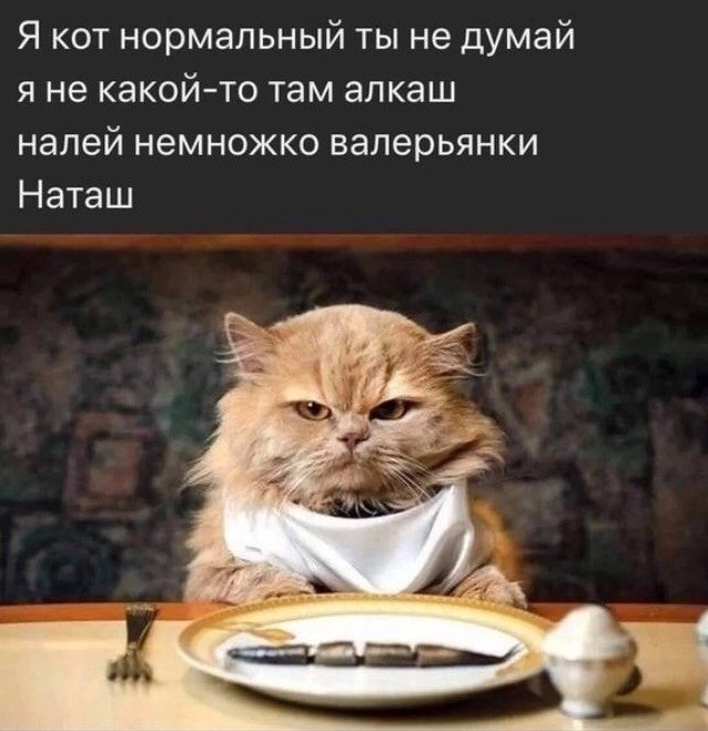 Весёлый полтишок 20.05.24