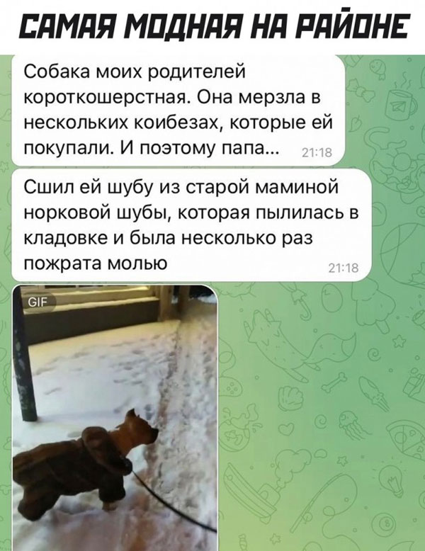 Ура, товарищи! Понедельник!