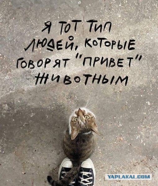 Картинки и буквы 24.06.2024