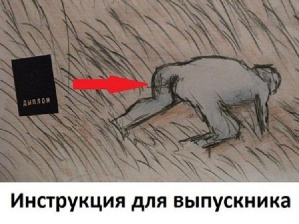 35 картинок от соседа Петросяна