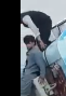 Детки развлекаются