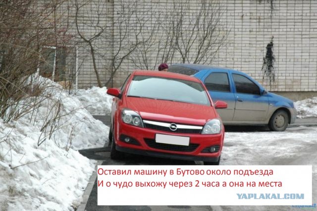 Удача, везение или просто чудо?