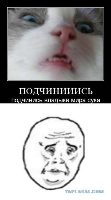 Ну-ка, руку опустил!