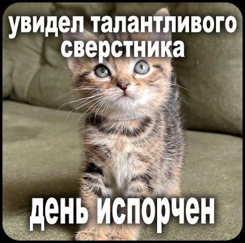 Веселое настроение в картинках (03.10.2025)