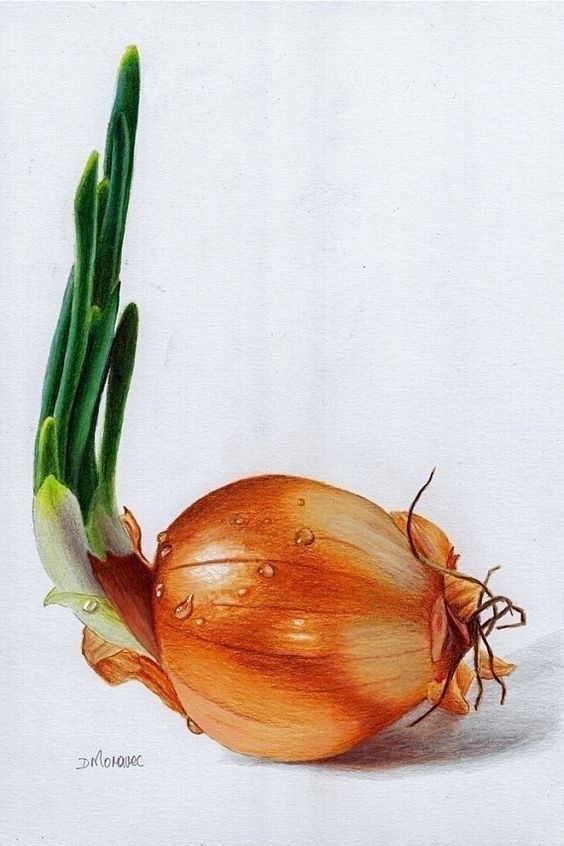 Немного лука и чеснока в живописи