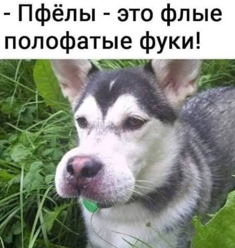 Реклама пасеки