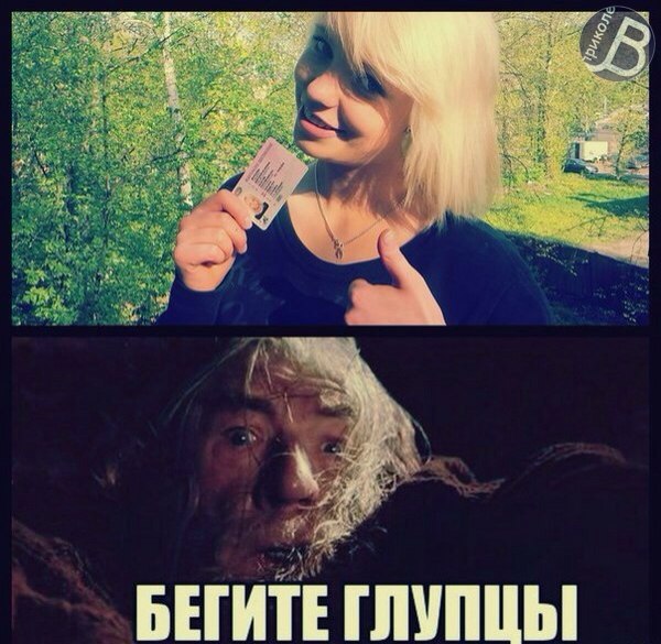 Смешные картинки и комментарии