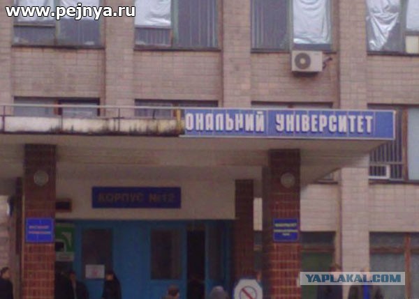 Шашлыки