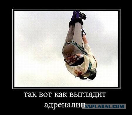 С праздником!