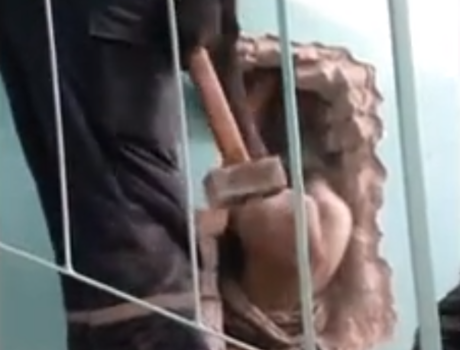 По стопам Винни-Пуха: 22 застрявших зверя