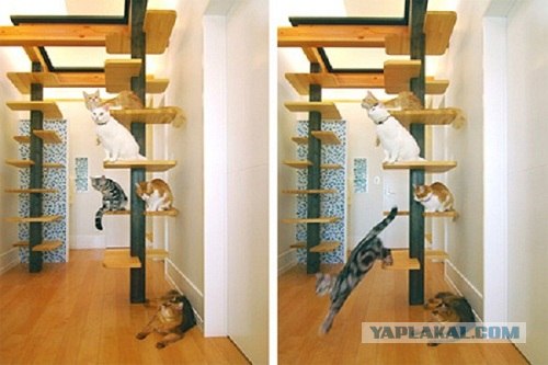 Домик для котейки