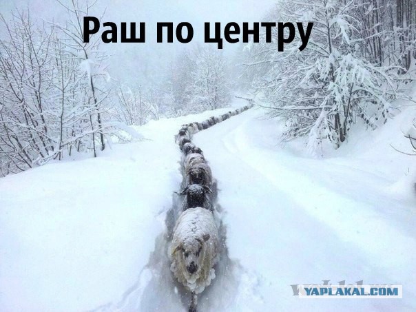 Чуть-чуть танков WoT