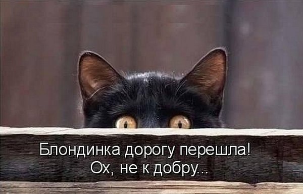 Картинки и прочее