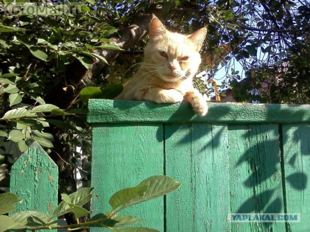 В Минздраве предложили ограничить бесплатную медпомощь курящим