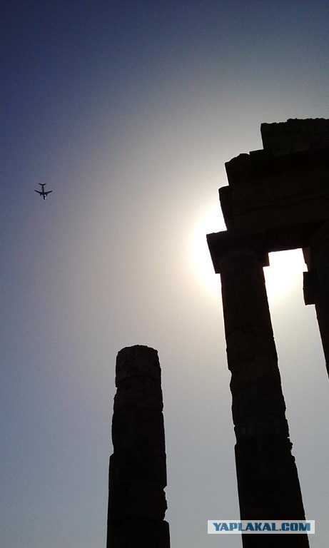 Nikon пришлось извиняться за награждение автора отфотошопленного снимка