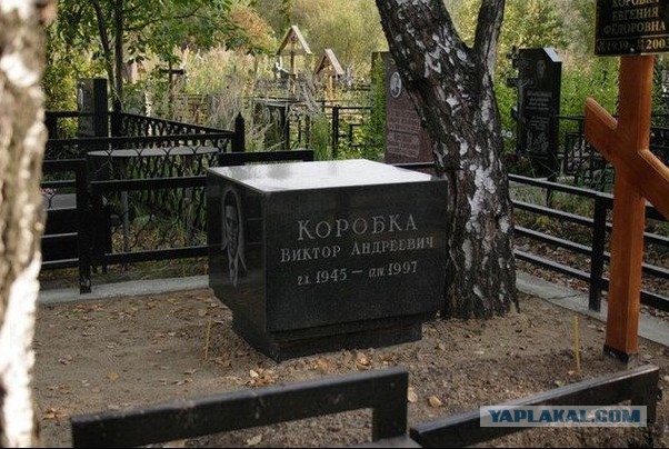 Сетевые картинки улыбательновозбуждающие