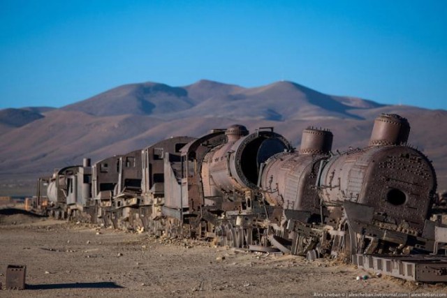Подборка интересных и веселых фото