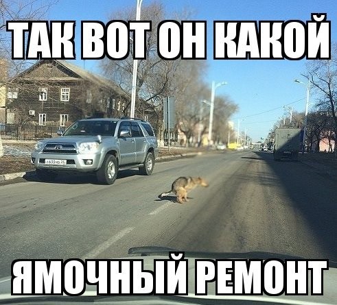 Фотоподборка на пятницу