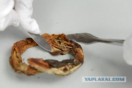 В кружке из музея Освенцима нашли клад