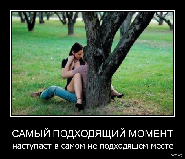 Картинки из сети