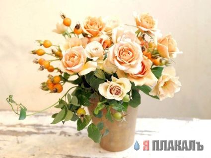 Скоро весна! ЦВЕТЫ