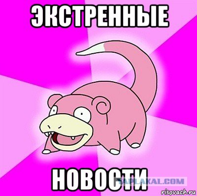 К расстрелу корейского министра из зенитки: как лечить российских медиа-дятлов