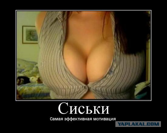 Вид сверху на женскую грудь