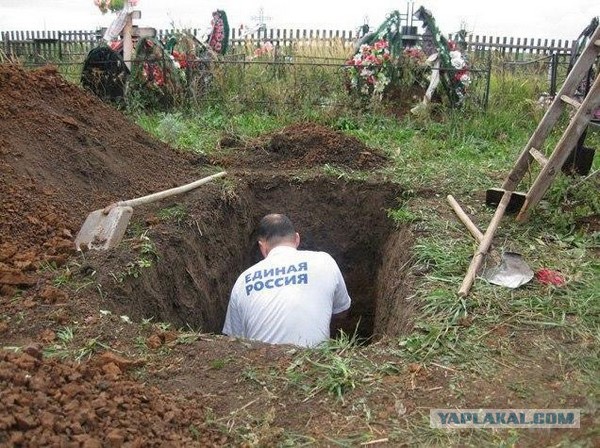 Выловлено в наших сетях