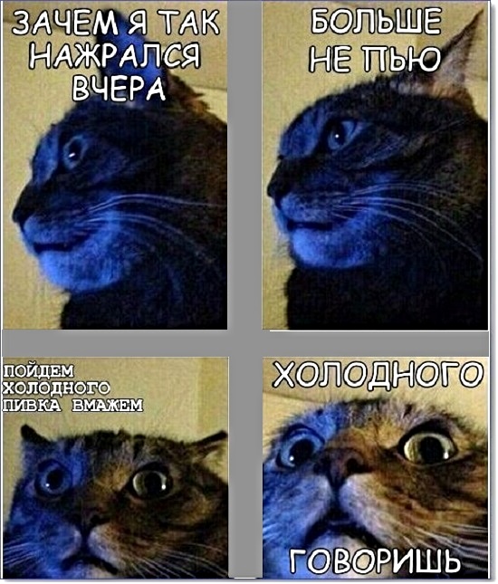 Картиношный винегрет с щепоткой упоротого юмора