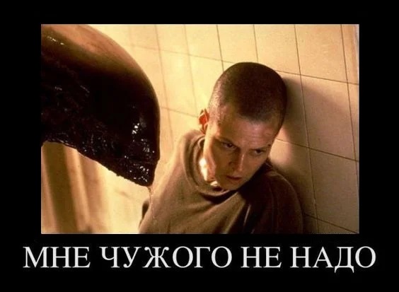 Немного картинок для настроения 19.02.20