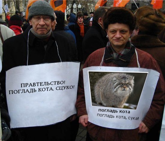 Фотожаба: Митинг