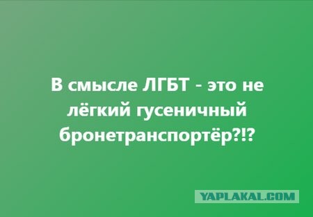 Бредзона 24.08.2020