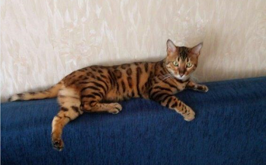 Моя красотка