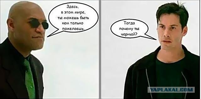 Перлы 08.02.2021