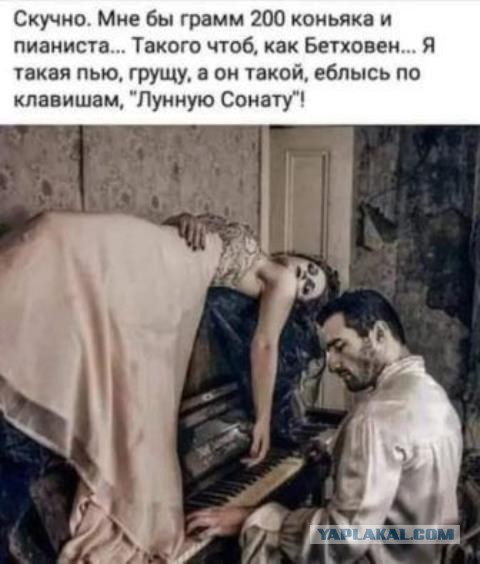 Алкопост 13.08.21