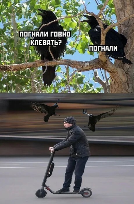 15914800.jpg