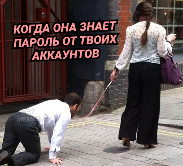 Весёлый полтишок 03.10