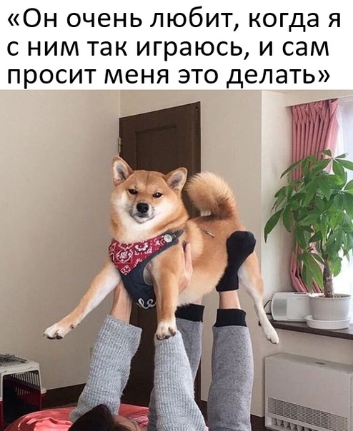 Один шаг и она начнется
