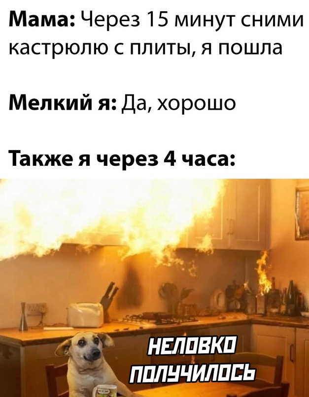 Весёлый полтишок 01.02