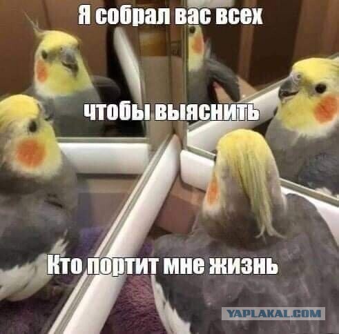 Так себе картинки 31.03.22